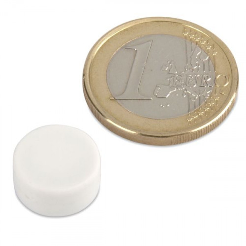 Imán de neodimio Ø 12,7 x 6,3 mm recubierto de plástico - blanco - sujeta 2 kg